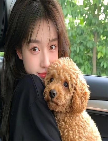 《危险犬只》市场表现必看的：票房成绩与观众接受度主观分析，票房冠军